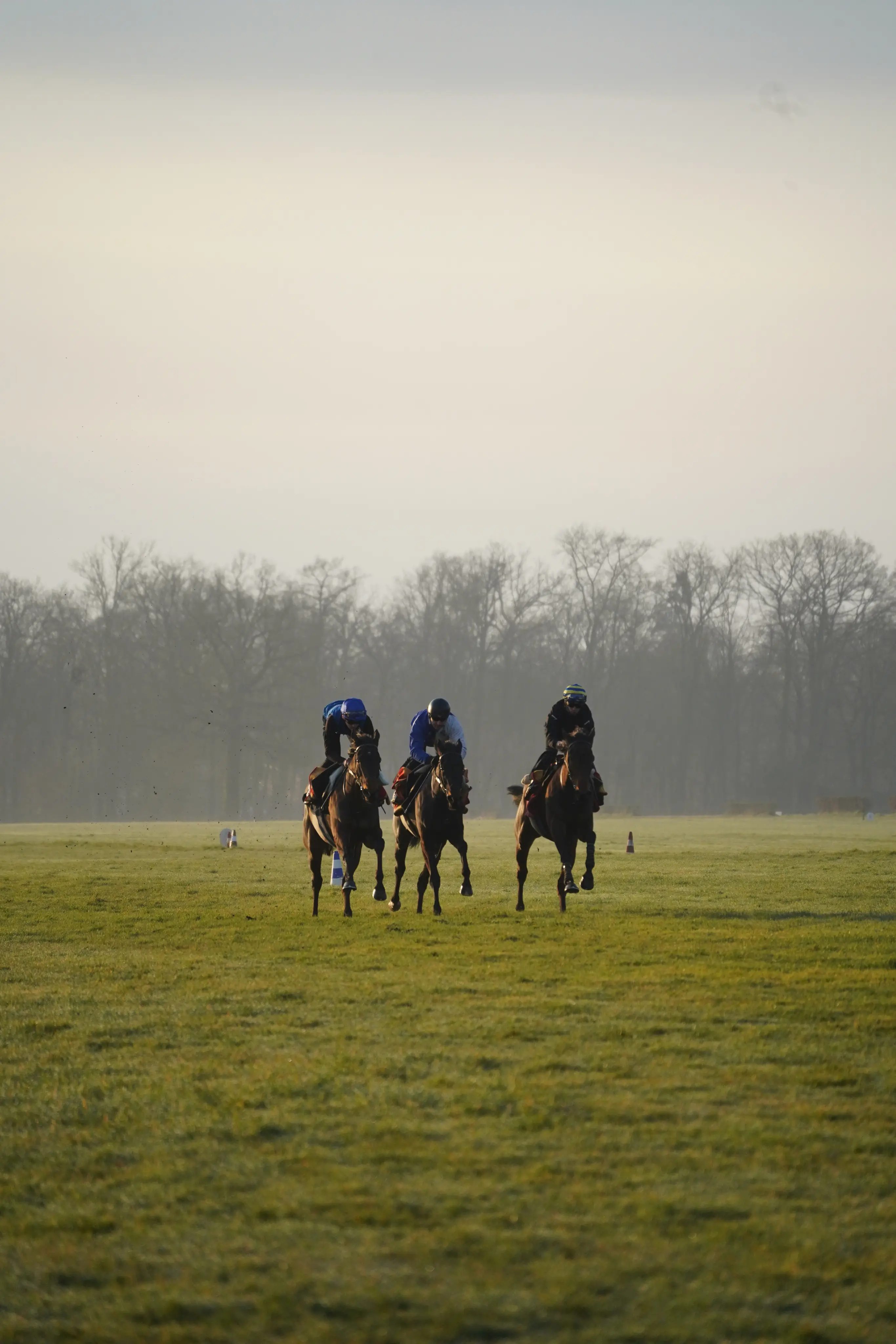 Courses de galop