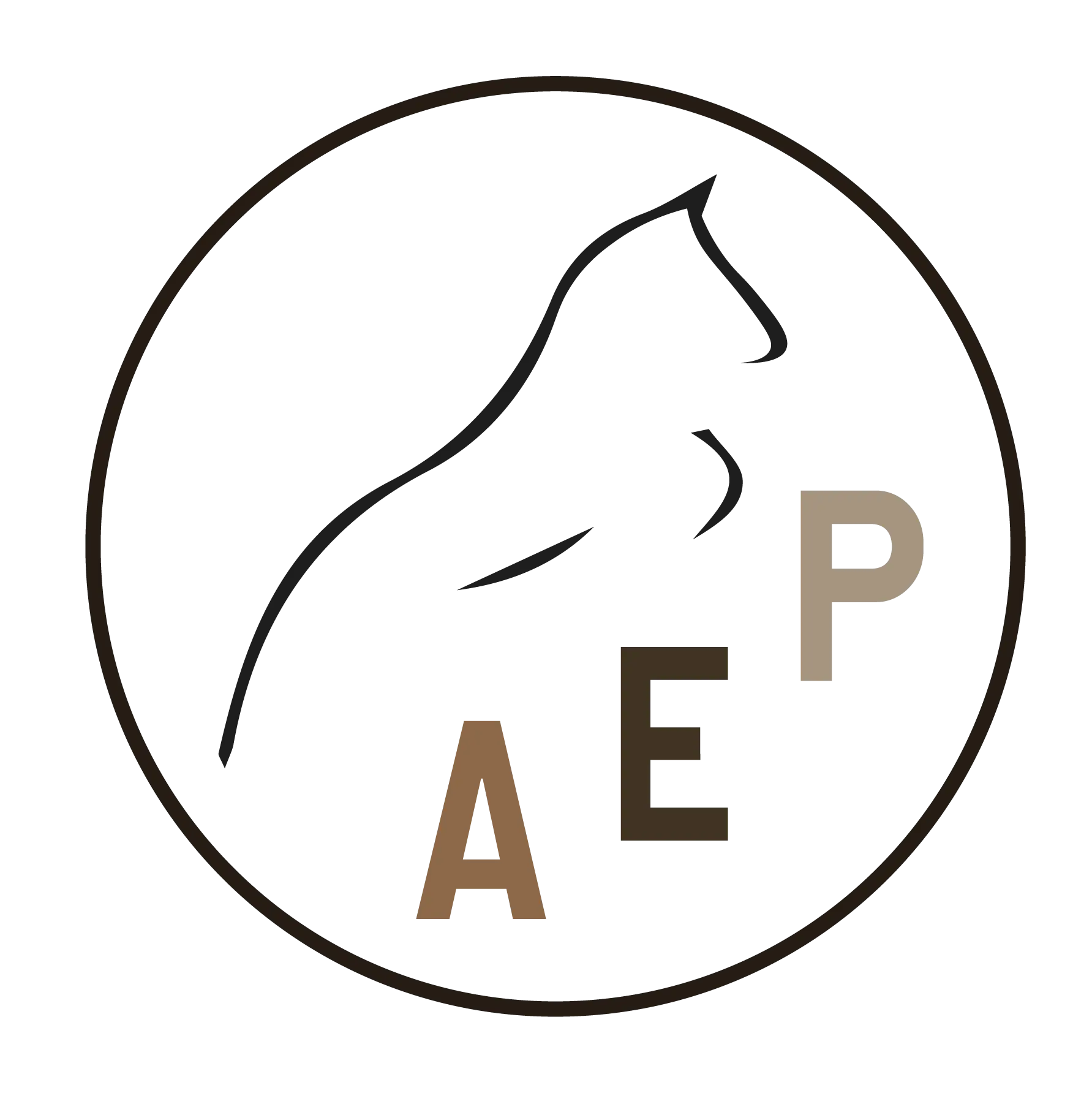 Logo AEP Galop